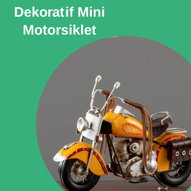 minimotorsiklet.jpg (105 KB)