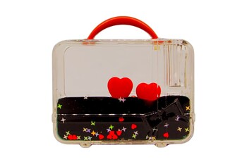  - Kalpli Sıvı Işıltılı Dekoratif Biblo Valiz (1)