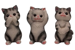 Üç Bilge Kedi - 1