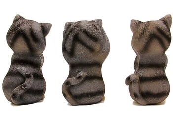 Üç Bilge Kedi - Thumbnail