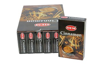 HEM - Cinnamon Back Flow Cones (1)