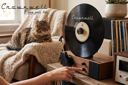 Crownwell TurnTable Waltz Vertical Design - 8