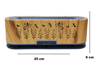  - Diffuser (1)