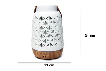  - Diffuser (1)