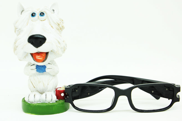 Gözlük Standı Köpek - 3