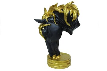 Horse Head Drink Water - Thumbnail