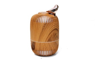  - Humidifier