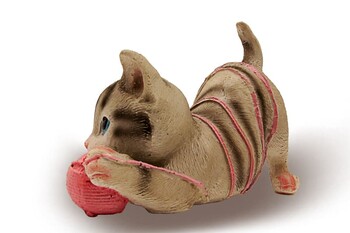 Dekoratif İple Oynayan Kedi - Thumbnail