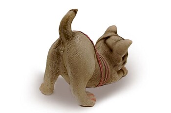 Dekoratif İple Oynayan Kedi - Thumbnail