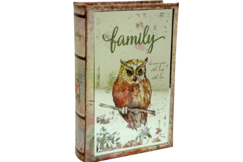 Kutu Kitap Aynalı Baykuş - 1