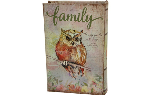 Kutu Kitap Aynalı Baykuş - 3
