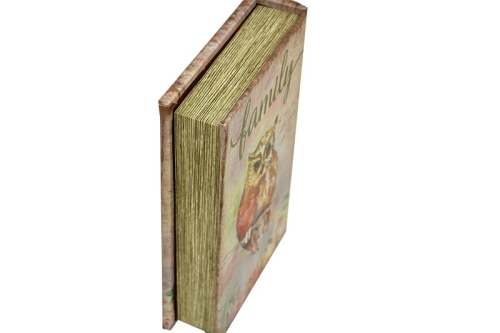 Kutu Kitap Aynalı Baykuş - 5
