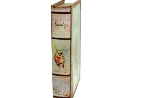 Kutu Kitap Aynalı Baykuş - 6