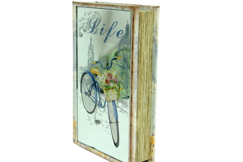 Kutu Kitap Aynalı Bisiklet - 2