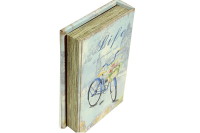 Kutu Kitap Aynalı Bisiklet - Thumbnail