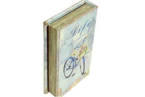 Kutu Kitap Aynalı Bisiklet - 4