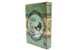 Kutu Kitap Aynalı Kuş - 2