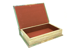 Kutu Kitap Aynalı Kuş - 5