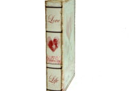 Kutu Kitap Aynalı Valentine - Thumbnail