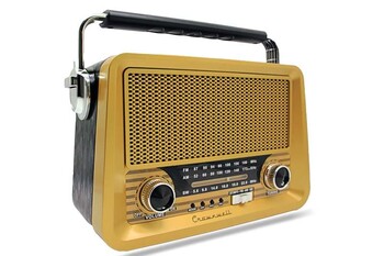 CROWNWELL - Crownwell Nostaljik Bluetooth Radyo (1)