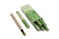 Spearmint Hexa - 1